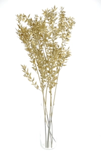 Dried golden Ruscus - bunch 5 stems