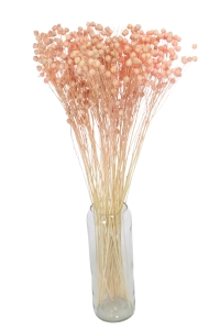 Flachs hellrosa - Strauß - Trockenblumen