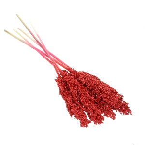 Suszone sorgo czerwone ~5 szt. - suszone trawy