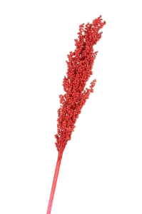Suszone sorgo czerwone ~5 szt. - suszone trawy