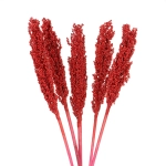 Sorghum, rot - Strauß 5 Stk. - Trockengräser