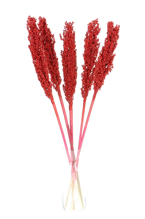 Suszone sorgo czerwone ~5 szt. - suszone trawy