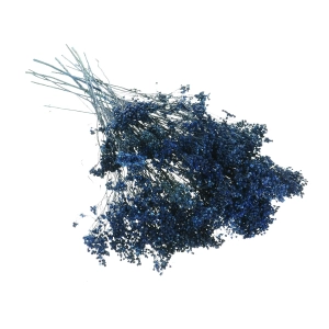 Dried flowers - navy blue Broom Bloom - bunch