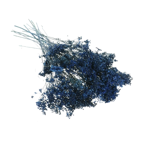 Dried flowers - navy blue Broom Bloom - bunch