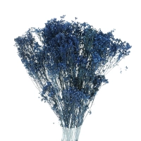 Dried navy blue Broom Bloom - bunch