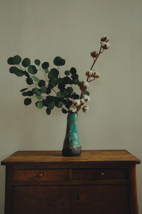 Dried Cotton stem with 10 flowers
