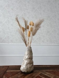 Dried bleached thistle - dipsacus ~10 pcs.