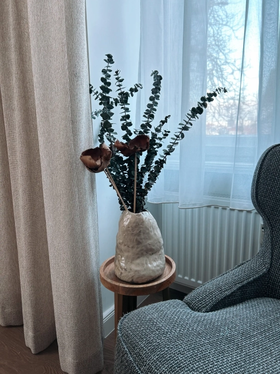 Preserved green Eucalyptus Baby - bunch