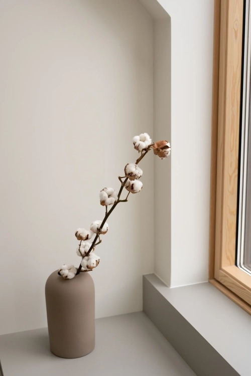 Baumwolle - Zweig, 11 Blüten - Trockenblumen