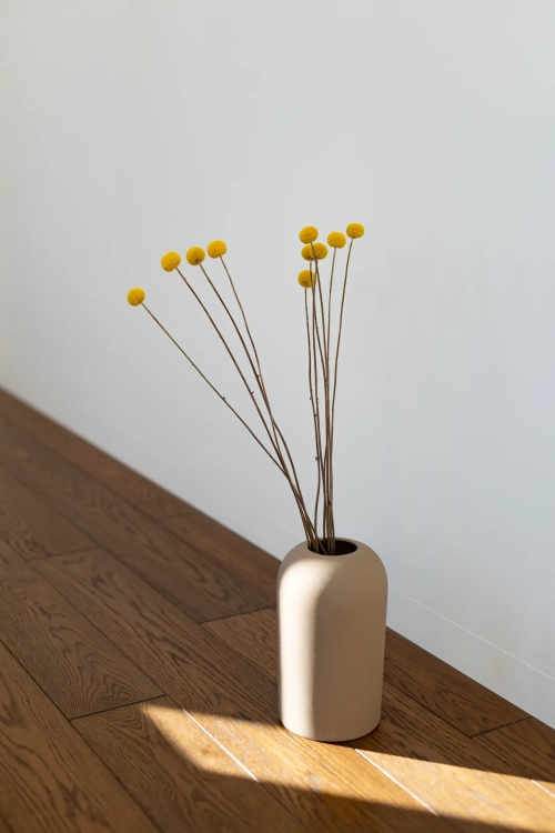 Craspedia, gelb - 5 Stk. - große Vielfalt - Trockenblumen