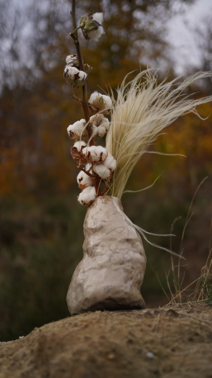 Dried natural Stipa feather (Stipa pennata) - bunch