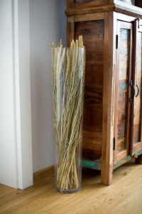 Setaria italica (Borstenhirse), natürlich - Strauß, ~40 Stück - Trockengräser
