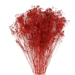 Dried red Broom Bloom - bunch