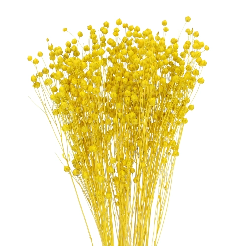 Suszony len żółty - bukiet - suszone kwiaty