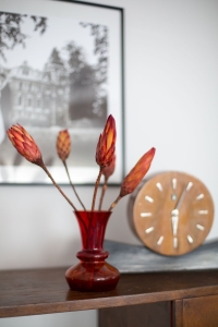 Dried red Protea - stem - dried flowers