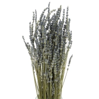 Dried blue lavender - bouquet ~150 pcs