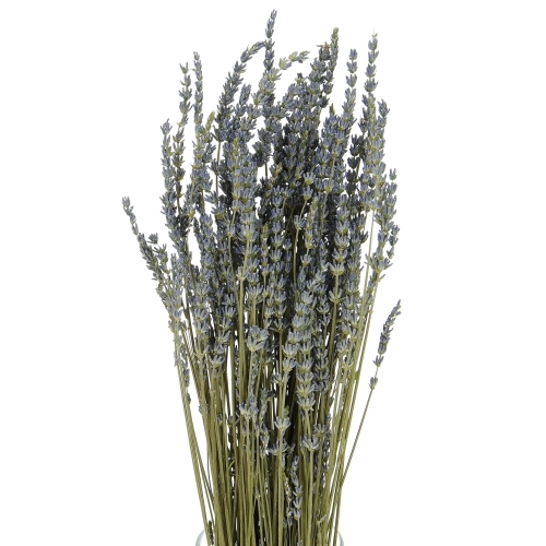 Dried blue lavender - bouquet ~150 pcs.