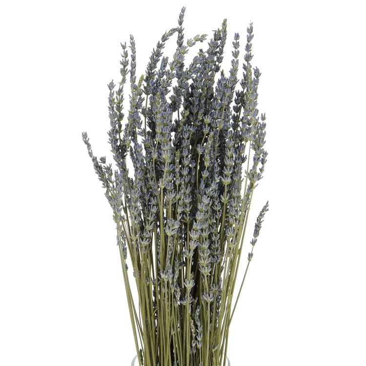 Dried blue lavender - bouquet ~150 pcs.