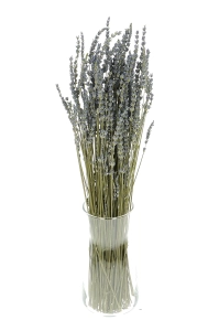 Dried blue lavender - bouquet ~150 pcs.