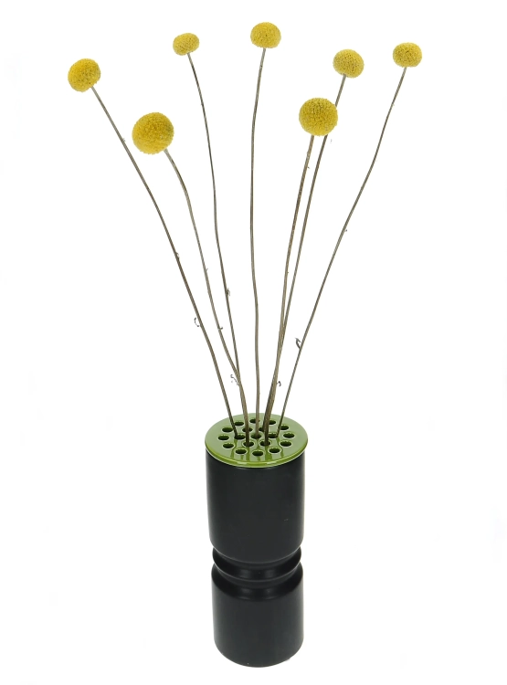 Flower arranging disc - green