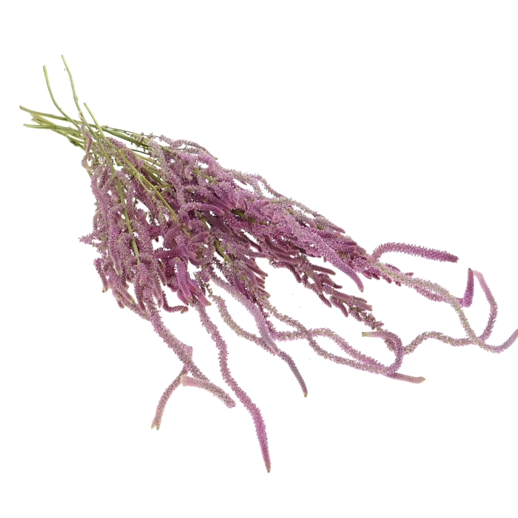 Dried Russian Statice - bunch - dried flowers