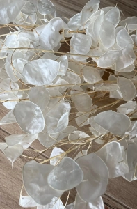 Dried pearly lunaria - annual honesty - bouquet