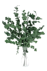 Eukalyptus Stuartiana, stabilisiert, grün - Strauß