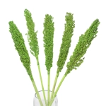 Sorghum, grün - Strauß 5 Stk. - Trockengräser