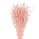 Dried pink Lepidium (garden cress) - bunch 