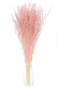 Dried pink Lepidium (garden cress) - bunch