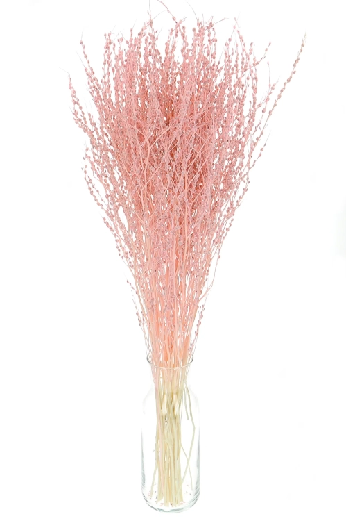 Dried pink Lepidium (garden cress) - bunch
