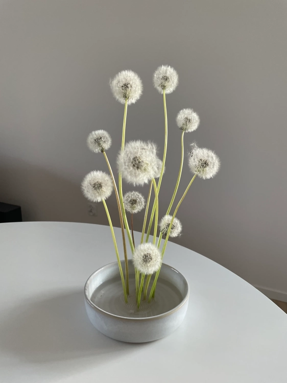 Kenzan okrągły plastikowy 69 mm - Ikebana