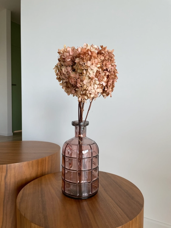 Preserved natural Hydrangea