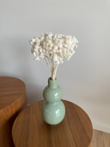 Dried white dwarf everlast (immortelle, Helichrysum) - bunch