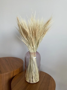 Dried bleached persian Wheat - bunch ~100 pcs