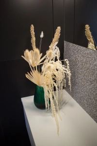 Preserved bleached love-lies-bleeding, Amaranthus - bunch