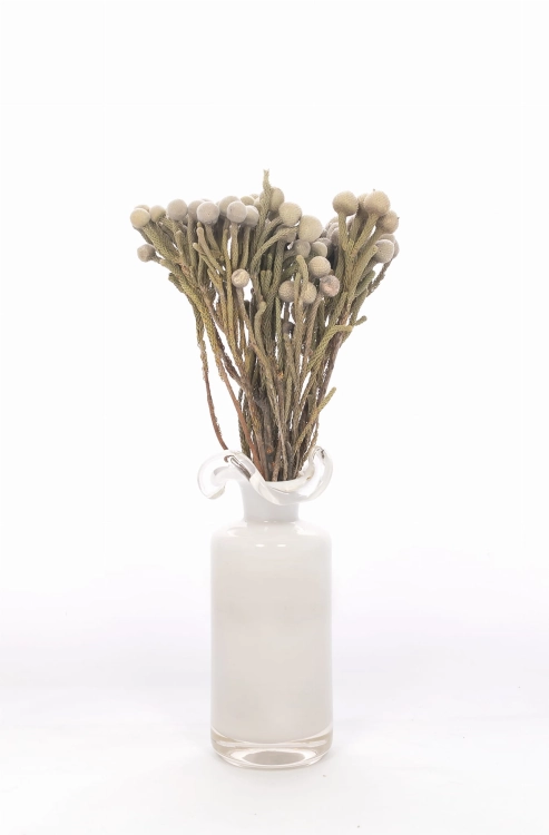 Dried Brunia - bunch - dried flowers