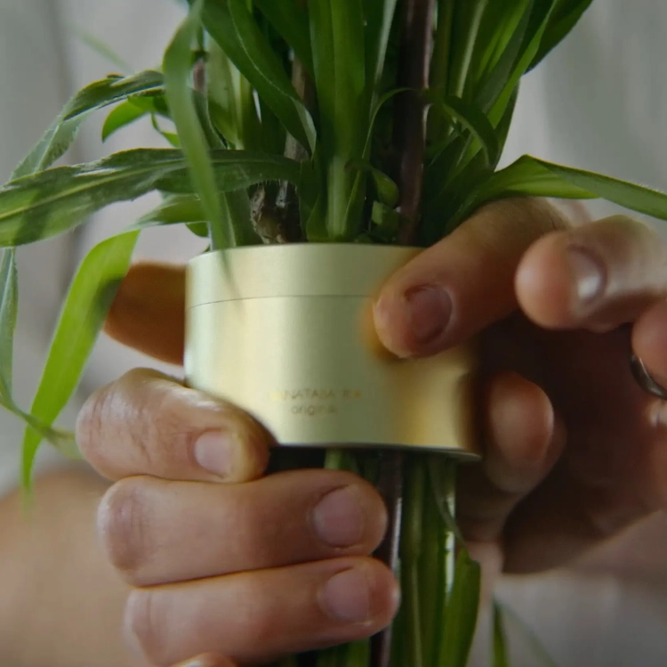 Hanataba Champagne Gold - flower arrangement tool