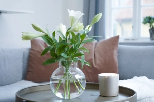 Hanataba Crystal Clear - flower arrangement tool