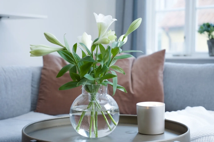 Hanataba Crystal Clear - flower arrangement tool
