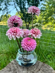 Kenzan okrągły mosiężny 60 mm - Ikebana