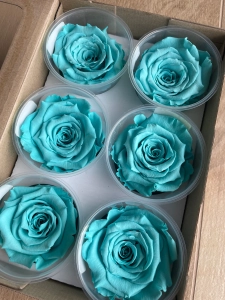Everlasting rose (preserved) turquoise - large