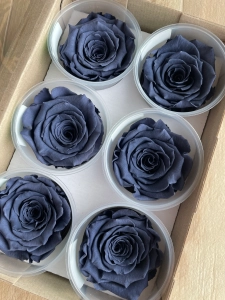 Everlasting rose (preserved) navy blue - large