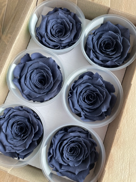 Everlasting rose (preserved) navy blue - large
