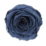 Everlasting rose (preserved) navy blue - large