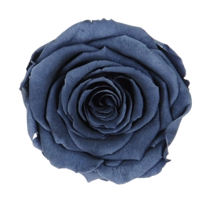 Everlasting rose (preserved) navy blue - large