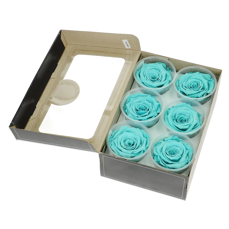 Everlasting roses (preserved) turquoise - large - set 6 pcs