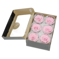 Everlasting roses (preserved) pink- large - set 6 pcs