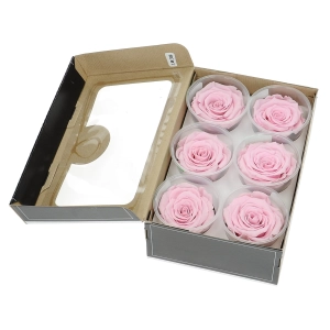 Everlasting roses (preserved) pink- large - set 6 pcs