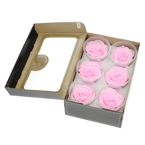 Everlasting roses (preserved) neon pink - large - set 6 pcs
